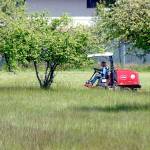A mower cuts grass around the trees in Lions Park in Port Angeles on Wednesday. Lawn-mowing weather is expected to continue across the North Olympic Peninsula into the weekend with a chance of showers forecast for Sunday. (Keith Thorpe/Peninsula Daily News)