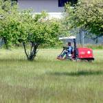 A mower cuts grass around the trees in Lions Park in Port Angeles on Wednesday. Lawn-mowing weather is expected to continue across the North Olympic Peninsula into the weekend with a chance of showers forecast for Sunday. (Keith Thorpe/Peninsula Daily News)