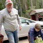 Dahlia expert Harold Jensen works with Cecile Culp on plant starts for the Quilcene Brinnon Garden Club's big plant sale Saturday and Sunday at the Brinnon Community Center. 
photo by Laurie Mattson