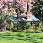 Chetzemoka Spring is among the photographs by KarenLee Eaton on display at Gallery 9.