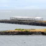 The dock at the former Rayonier Mill east of downtown Port Angeles, shown on Saturday, is scheduled to be dismantled beginning in mid-June. (Keith Thorpe/Peninsula Daily News)