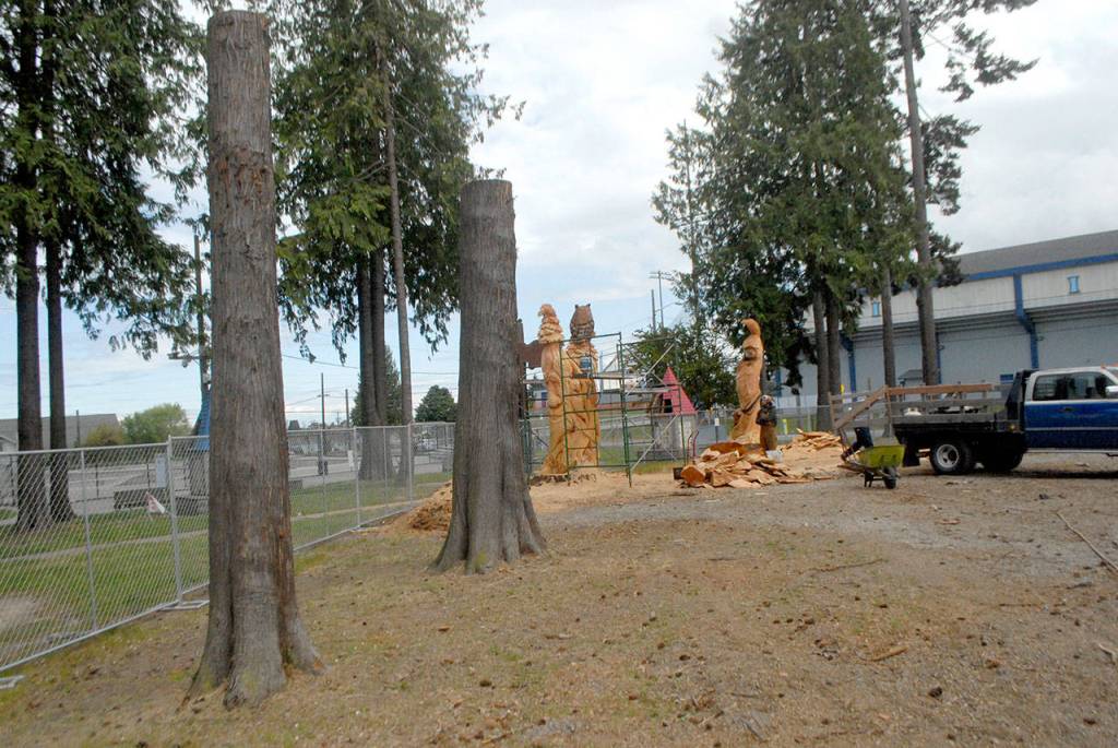 Keith Thorpe/Peninsula Daily News
Two cedar stumps stand near where two fir stumps have been turned into sculptures at the site of the new Dream Playground at Erickson Playfield in Port Angeles.