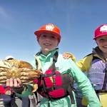 Photo courtesy of WDFW Crabbing season returns to the Strait of Juan de Fuca, Admiralty Inlet and most of the Hood Canal beginning July 1.