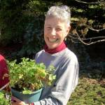 Jeanette Stehr-Green will present Growing Strawberries on the North Olympic Peninsula at 10:30 a.m. Saturday.