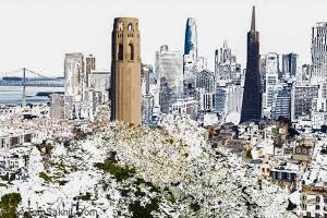 Tom Saknit's work will be on display at Port Townsend Gallery in July.