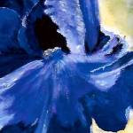 "Iris," by Beverly Majors, is on view at the Sequim Museum & Arts.