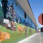 A new mural on the east side of A Stitch in Time Quilt Shoppe depicts some of the dairy farm history of Sequim/Dungeness. Muralist Andy Eccleshall completed it in about 12 days. (Matthew Nash/Olympic Peninsula News Group)