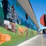 A new mural on the east side of A Stitch in Time Quilt Shoppe depicts some of the dairy farm history of Sequim/Dungeness. It took about 12 days to complete by muralist Andy Eccleshall. (Matthew Nash/Olympic Peninsula News Group)