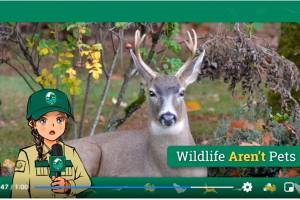 A new public service video put out by the Washington Department of Fish and Wildlife features an anime spokeswoman. (WDFW)