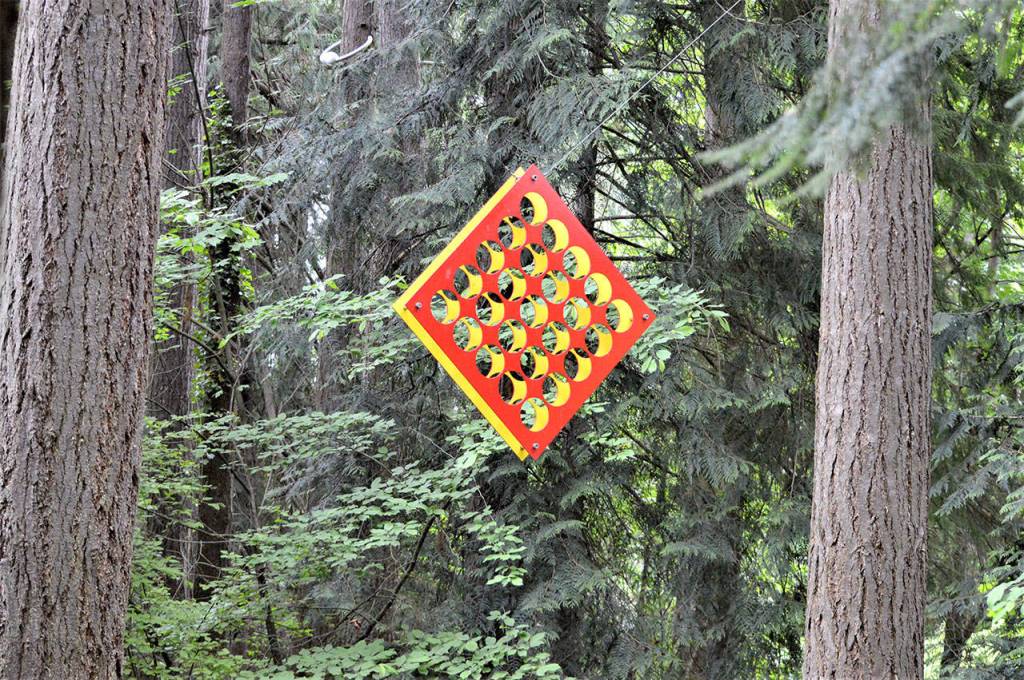 Gray Lucier of Port Angeles suspended artwork catches the sunlight in the Websters Woods Sculpture Park. A guided tour of the 5-acre forest is open to the public Saturday. (Diane Urbani de la Paz/Peninsula Daily News Diane Urbani De La Paz)