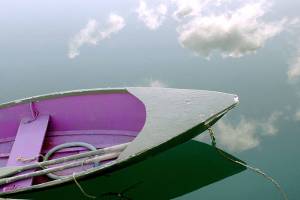 "Afternoon Delight" is by Port Ludlow Art League featured artist Diane Walker.