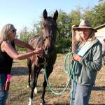 Nose to Toes Certified Acupressure Practitioner Bridget Stumbaugh, left, applies finger pressure to a meridian point on Laurie Corsons horse Nova to aid in releasing pain caused by an injury and restore the bodys qi, or positive energy flow. Aroma therapy with therapeutic herbal oils also helped turn the usually nervous horse into a relaxed and happy equine. (Karen Griffiths/for Peninsula Daily News)