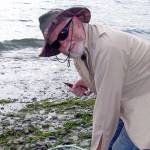 Holly Bauman
Quilcene angler Ward Norden found beach casting success from the shore of Fort Flagler State Park recently, catching this pink with a pink rotator jig. Pinks are at the height of their odd-year return this month.