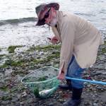 Quilcene angler Ward Norden found beach casting success from the shore of Fort Flagler State Park recently, catching this pink with a pink rotator jig. Pinks are at the height of their odd-year return this month. (Photo courtesy of Holly Bauman)