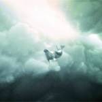 Photographer Bill Curtsinger captured a harp seal diving in the Gulf of St. Lawrence. (Photo by Bill Curtsinger)