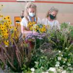 Sisters Jenny Edwards, left, and Julia Ahrndt, both of Port Angeles, assemble flower bouquets that will be distributed to teachers and staff members of the Port Angeles School District at an assembly session with volunteers on Thursday at Hamilton School.