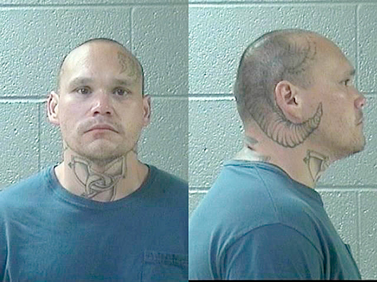 Steven Rene Davis Jr.