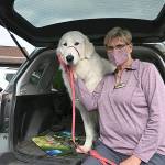 Susan Sorensen brings Thor, a Maremma sheepdog she and Don Sorensen own, to Sherwood Assisted Living last week. It’s the third dog Sorensen has brought to senior facilities to help lift spirits of the residents. (Michael Dashiell/Olympic Peninsula News Group)