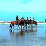 In August Freedom Farms trainer Mary Gallagher, far right, took her Advanced Hoof Beats students to camp and ride along the shore on the west side of the Olympic Peninsula in Long Beach. All came home with wonderful lifetime memories. (Photo by Kimi Robertson)