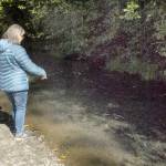 Donna Jones, left, and Penny Smith, both of Sequim, peer into a heavily shaded side channel of the Dungeness River as hundreds of salmon hide in the shadows to spawn on Thursday at Railroad Bridge Park in Sequim. (Keith Thorpe/Peninsula Daily News)