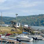 The Port of Port Townsends Herb Beck Marina in Quilcene was the subject of an outreach survey conducted this past summer. (Diane Urbani de la Paz/Peninsula Daily News)