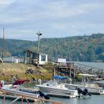 The Port of Port Townsends Herb Beck Marina in Quilcene was the subject of an outreach survey conducted this past summer. (Diane Urbani de la Paz/Peninsula Daily News)