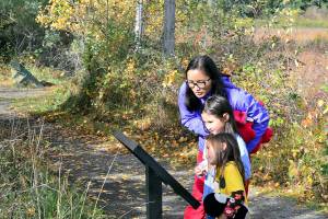 Hailian Zhou and her daughters, Sophie Dewey, 6, and Charlotte Dewey, 3, travel the storywalk through Port Townsends Kah Tai Lagoon Nature Park on Tuesday. A permanent set of panels, currently depicting the book The Cool Bean, dot the trail. (Diane Urbani de la Paz/Peninsula Daily News)
