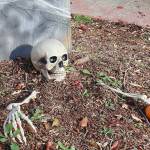 This Halloween display is at 229 West 9th in Port Angeles.