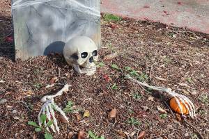 This Halloween display is at 229 West 9th in Port Angeles.