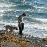 Jeffery Evalt of Sequim and his dog Rex look for agates and other interesting rocks along the shore of Sequim Bay as wind-driven waves churn behind him on Tuesday. Blustery winds, the remnants of a strong storm system that visited the region on Sunday and Monday, rolled across the bay, pushing water against the shoreline. (Keith Thorpe/Peninsula Daily News)