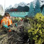 Port Angeles Parks and Recreation Department seasonal worker Destiny Walters removes unwanted growth from the garden in front of the Port Angeles welcome sign at Lincoln Street and Lauridsen Boulevard on Wednesday. The sign includes a greeting dto visitors in the Klallam language. (Keith Thorpe/Peninsula Daily News)