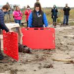 Andre the harbor seal was released back into the wild Wednesday afternoon on the beach at Fort Flagler State Park after being rehabilitated by the Sealife Response, Rehabilitation & Research (SR3) team. Patrick Hutchins, community engagement coordinator for SR3, and Holly Weinstein, marine stewardship educator and AmeriCorps member for the Port Townsend Marine Science Center, helped guide Andre into the water. (Zach Jablonski/Peninsula Daily News)