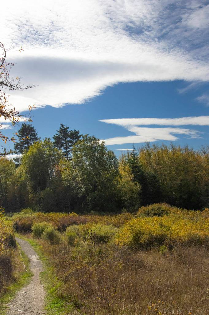 A path at the wildlife refuge on Voice of America Road in Sequim, one of the Ake familys favorite places to go in Sequim. (Emily Matthiessen/Olympic Peninsula News Group)