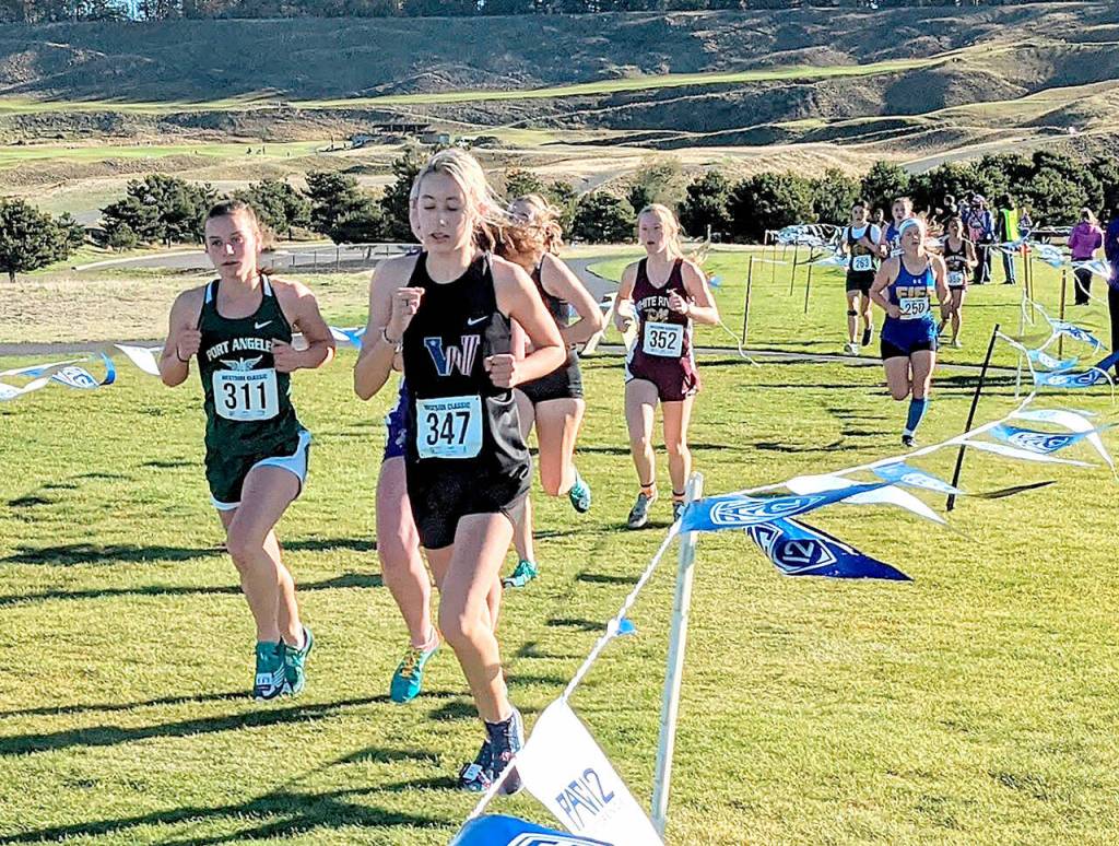 Port Angeles freshman Zakara Braun doing her best in the last 400 meters of the District 3 cross-country championships at Chambers Bay this weekend. (Courtesy of Rodger Johnson)