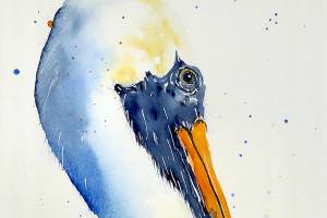 Diane Holmes watercolors are featured at Port Townsend Gallery this month.