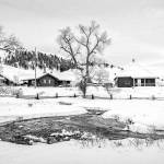 Lamar Buffalo Ranch and Rose Creek in Yellowstone by Susan White is a new work that will be added to the Black and White Camera show at Studio Bob.