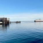 The M/V Coho leaves Port Angeles Harbor on Monday morning on its way to Victoria for the first time since March 2020. The COVID-19 pandemic shut down travel between the two countries as both land and sea borders had been closed. For more on the reopening, see Tuesdays print editions. (Scott Gardinier/Peninsula Daily News)