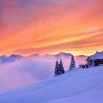 Photo credit: Hayley Powell