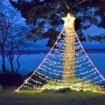 The neighbors near Chetzemoka Park in Port Townsend collaborate to put up a public Christmas tree every year. Its lights are visible from Lawrence Street as one approaches Jackson Street, while Admiralty Inlet provides the background. (Diane Urbani de la Paz/Peninsula Daily News)