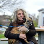 Holly Stone Cabe of Port Townsend and her dog Louie recently connected with Pet Helpers, a new nonprofit organization which provides aid in veterinary emergencies. (Diane Urbani de la Paz/Peninsula Daily News)