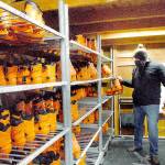 Volunteer Chris McCalla of Port Angeles, a senior chief at U.S. Coast Guard Air Station/Sector Field Office Port Angeles, pulls ice skates from a rack at the Port Angeles Winter Ice Village. (Keith Thorpe/Peninsula Daily News)