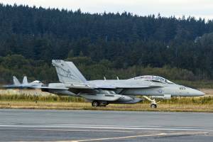 U.S. Navy photo by Mass Communication Specialist 2nd Class Scott Wood
An EA-18G Growler taxis down the airstrip on Naval Air Station Whidbey Island during the squadrons welcome home ceremony in August 2017.