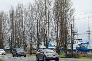 The Lombardy poplars, power lines and boat masts along the Sims Way entrance to Port Townsend dont mix, city officials said in a town-hall meeting this past week. (Diane Urbani de la Paz/Peninsula Daily News)