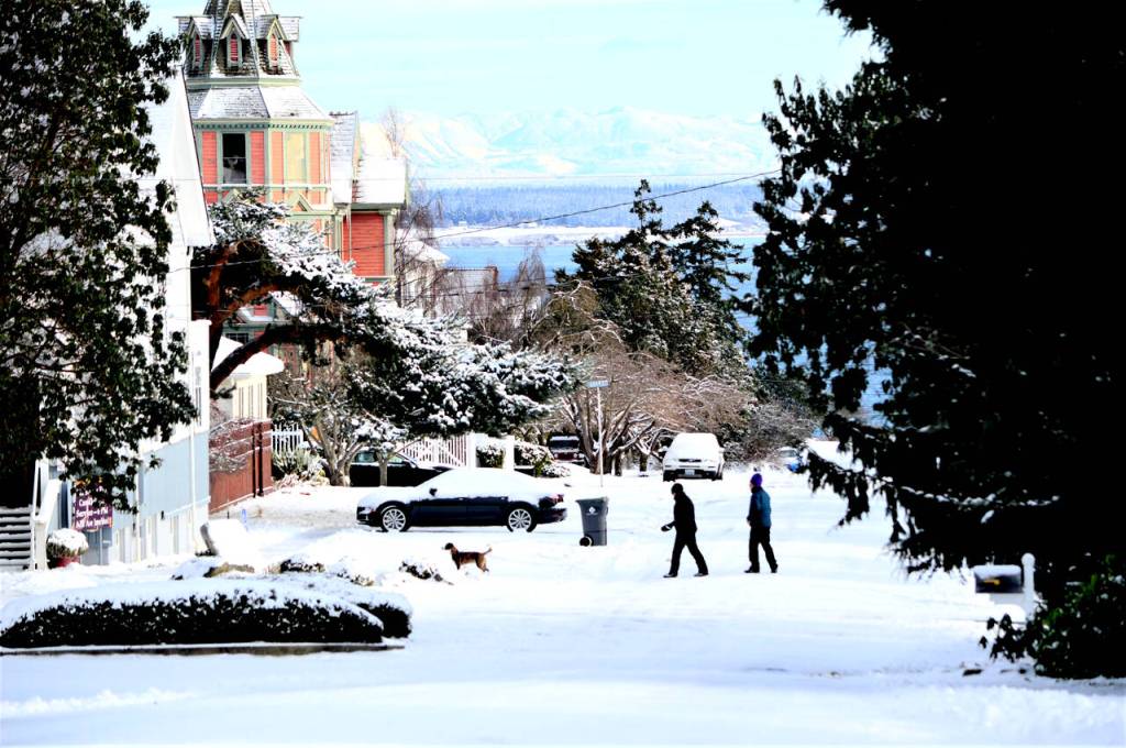 Dog walkers turn out in numbers Monday as the sun shines on the Starrett House, at left, in Uptown Port Townsend. (Diane Urbani de la Paz/Peninsula Daily News)