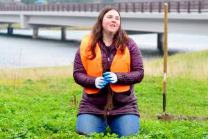 Sarah Doyle, the North Olympic Salmon Coalitions program and partnership manager, demonstrates the planting of a tree near the Kilisut Harbor bridge between Marrowstone and Indian islands. (Diane Urbani de la Paz/Peninsula Daily News)