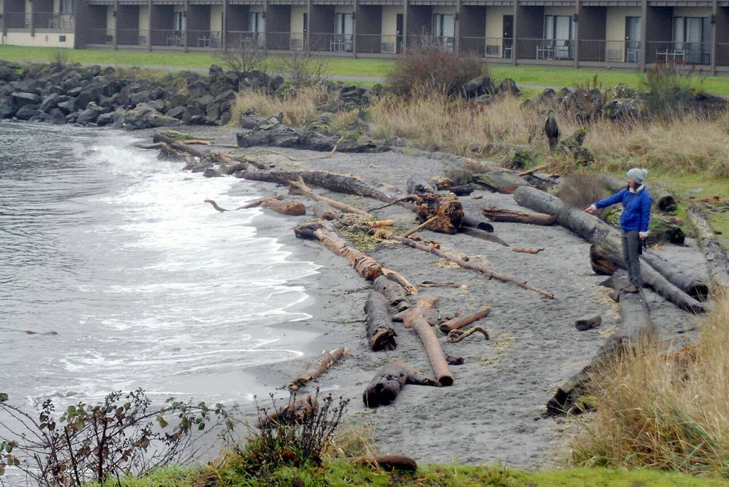 Keith Thorpe/Peninsula Daily News
A small surging wave washes ashore at Hollywood Beach in Port Angeles as a tsunami advisory covers West Coast of the United States on Saturday morning.