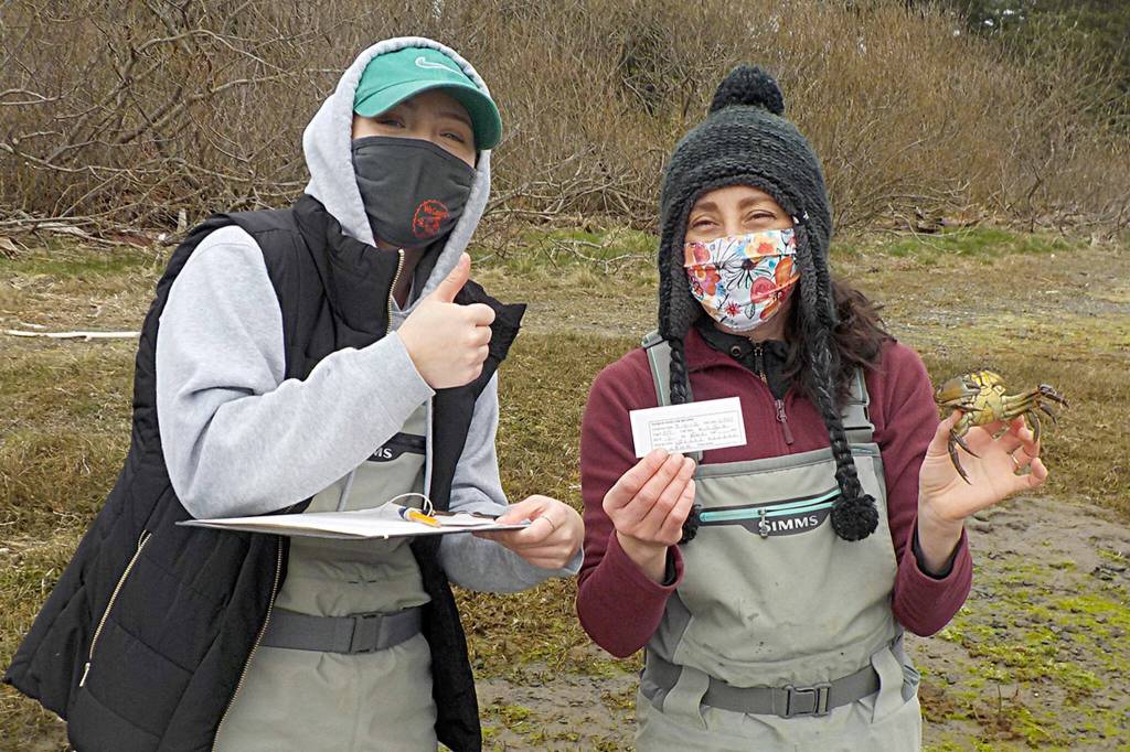 Representatives with the Makah Fisheries Management, Angelina Woods, left, and Adrianne Akmajian, hold up the first European green crab captured last year in April. The Makah Tribe would go on to catch more than 1,400 green crab, their most ever. (Photo courtesy Adrianne Akmajian/ Makah Fisheries Management)