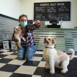 Mary Kniskern, owner of Sonnys Self Wash, plays with her dogs Sonny, in front, and Piper, in her arms. Behind Kniskern are boxes for people to drop off pet food for the Sequim Food Bank. (Emily Matthiessen/Olympic Peninsula News Group)