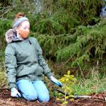 Fern French of Port Townsend, 12, joined the North Olympic Salmon Coalitions effort to plant a roadside forest of conifers at Discovery Bay on Saturday. (Diane Urbani de la Paz/Peninsula Daily News)