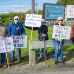 From left, Norm Baker, Jim Karr, Darlene Schanfald, Janet Marx and Jane Erickson gather at the entrance to the Dungeness Wildlife Refuge off Lotzgesell Road in Sequim to protest a future oyster farm planned for the refuge and to hand out fliers of information to people entering the refuge and Dungeness Recreation Area. (Sequim Gazette photo by Emily Matthiessen)